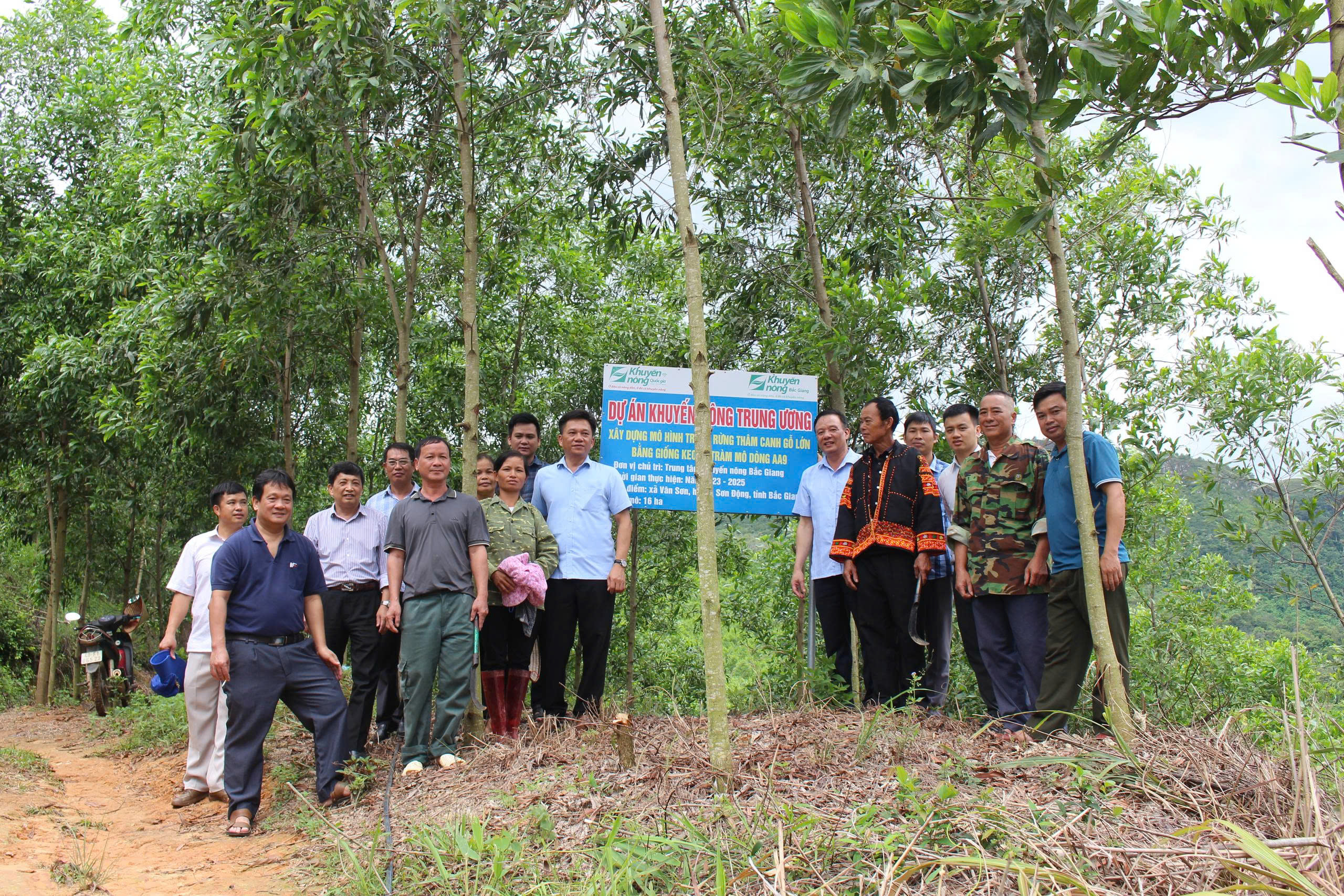 Kết quả bước đầu dự án “Xây dựng mô hình trồng rừng thâm canh gỗ lớn bằng giống keo lá tràm”